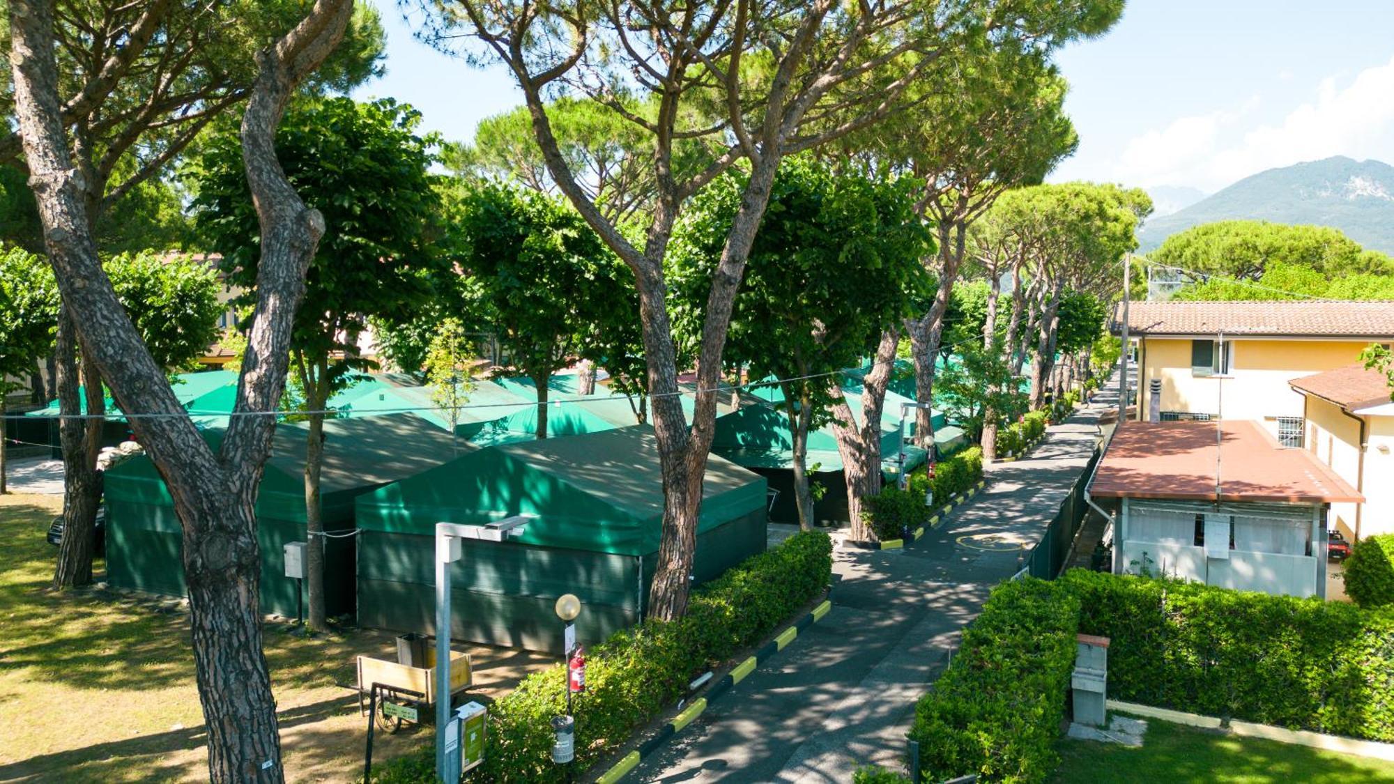 Camping Apuano Marina di Massa Εξωτερικό φωτογραφία